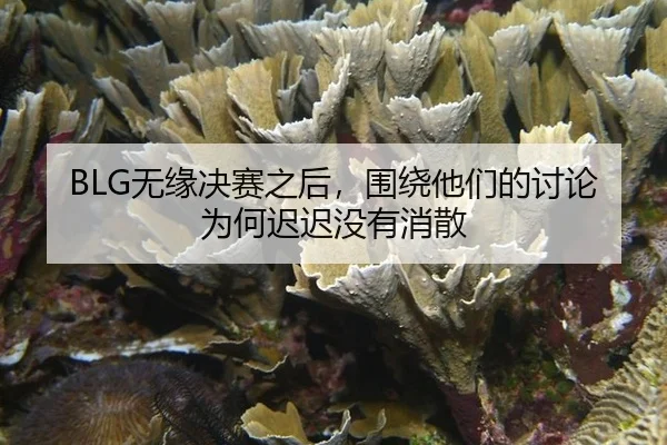 wu-yuan-jue-sai-zhi-hou-wei-rao-ta-men-de-tao-lun-wei-he-chi-chi-mei-you-xiao-san-2-225.jpg